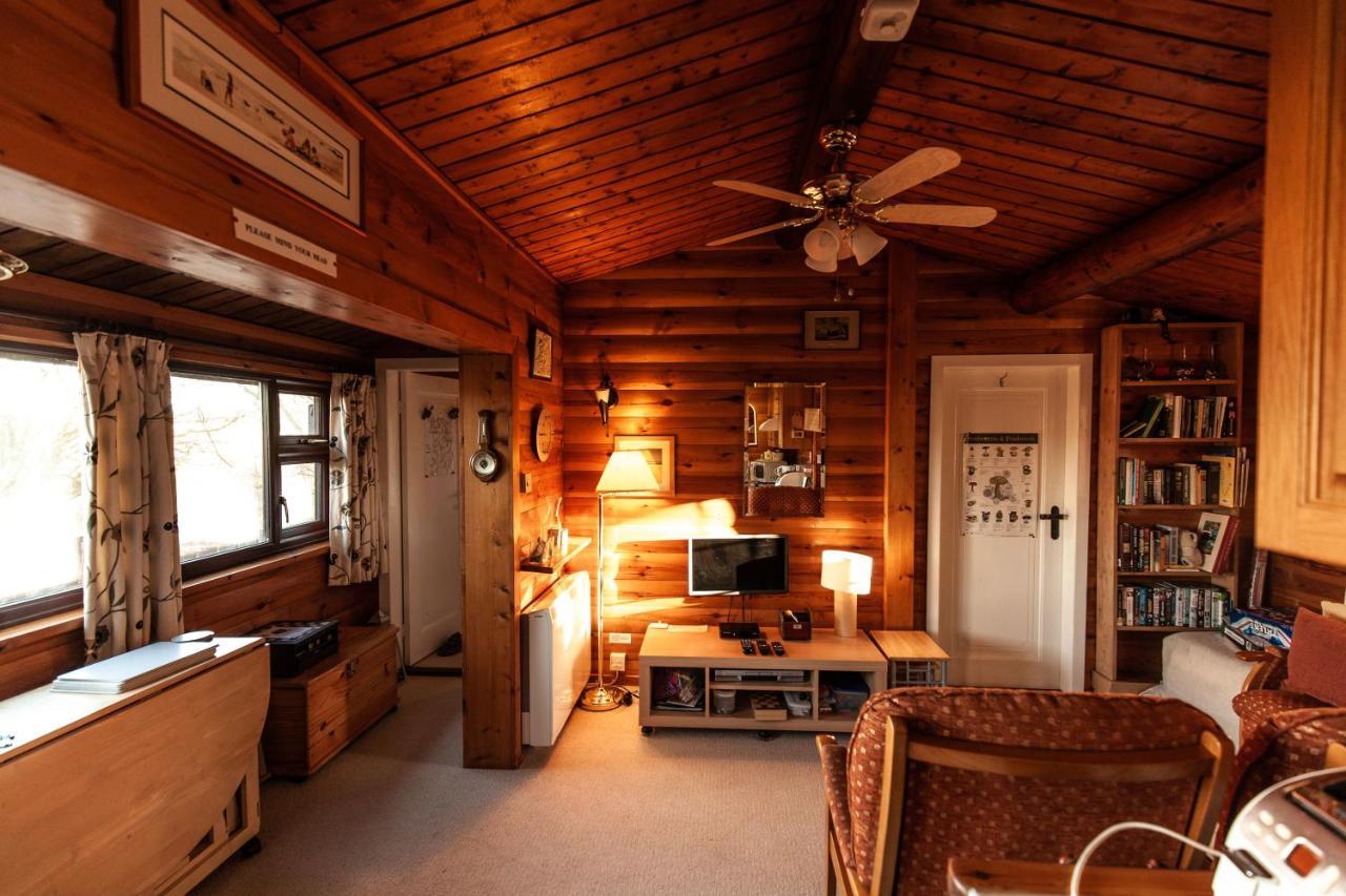 Rustic Log Cabin In Snowdonia By Seren Short Stays Trawsfynydd Экстерьер фото