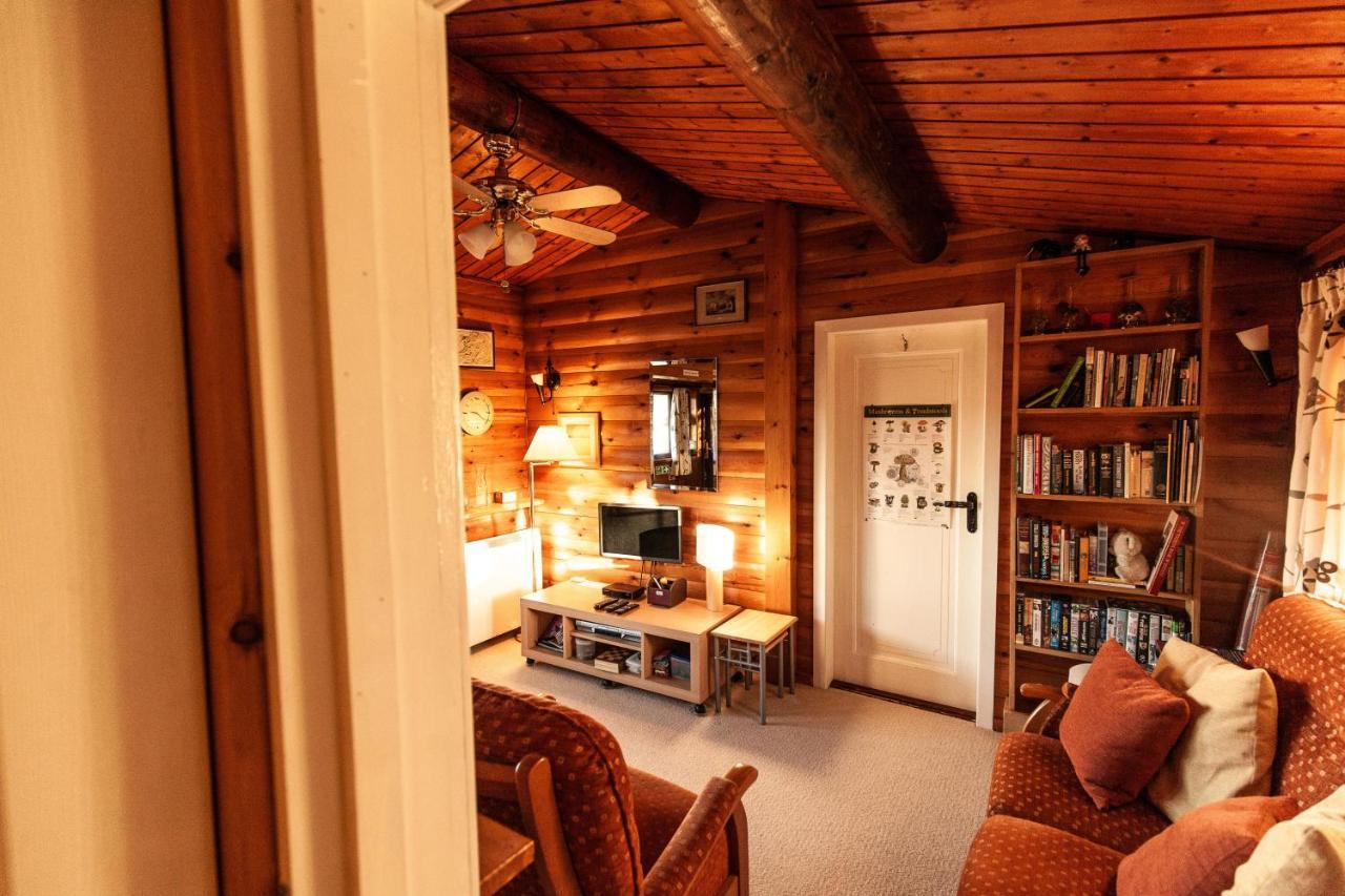 Rustic Log Cabin In Snowdonia By Seren Short Stays Trawsfynydd Экстерьер фото
